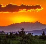 Image For Activity Cover