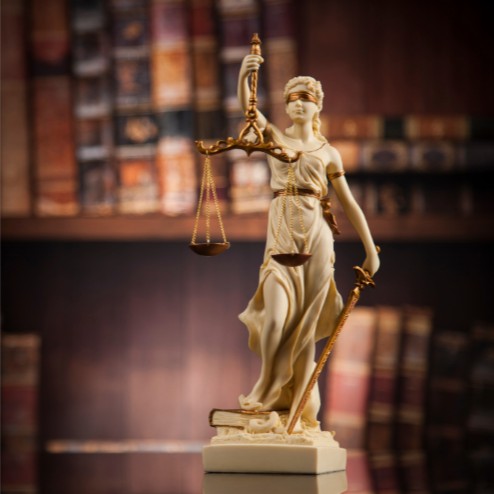 Image For Activity Cover